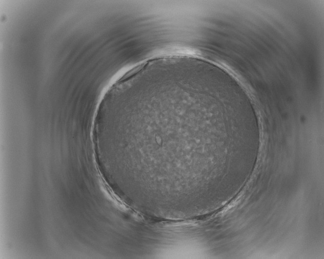 X0000069390864200605192212