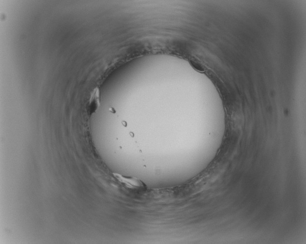 X0000069390865200605192211