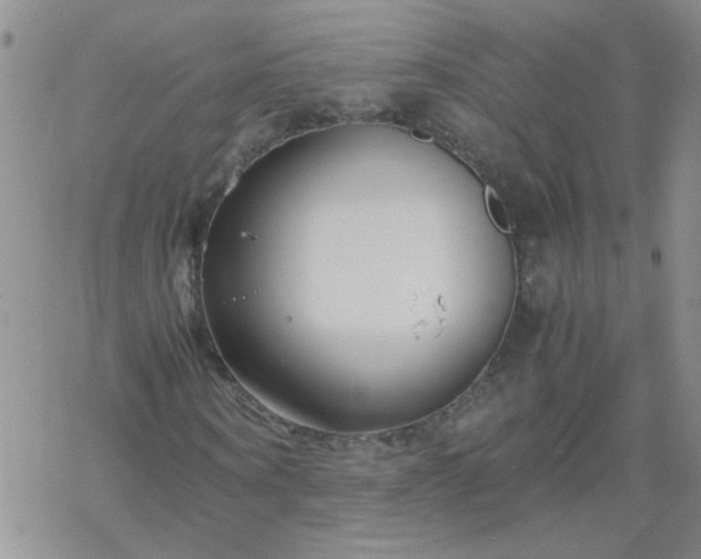 X0000069390866200605192211