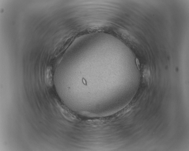 X0000069390868200605192211