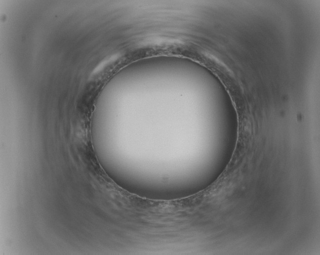 X0000069390869200605192211