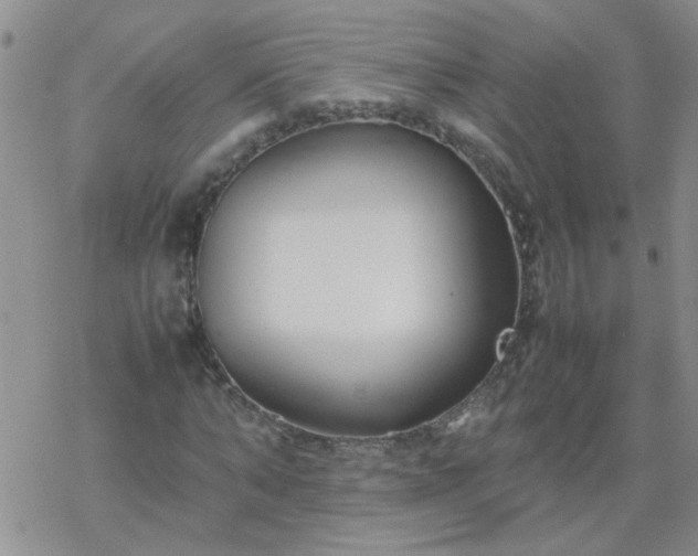 X0000069390870200605192211