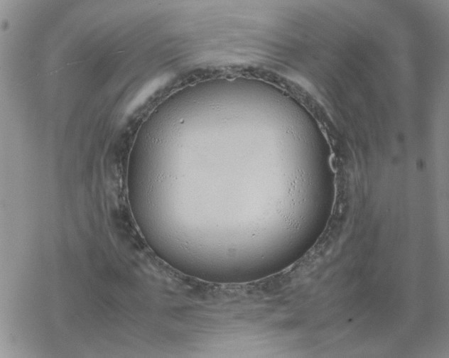 X0000069390871200605192211