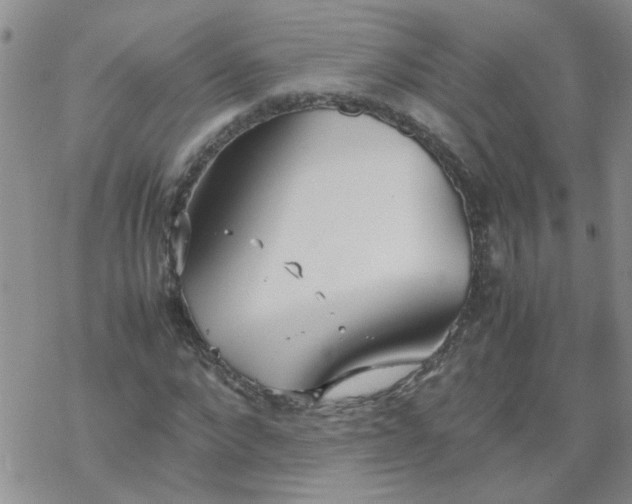 X0000069390872200605192211