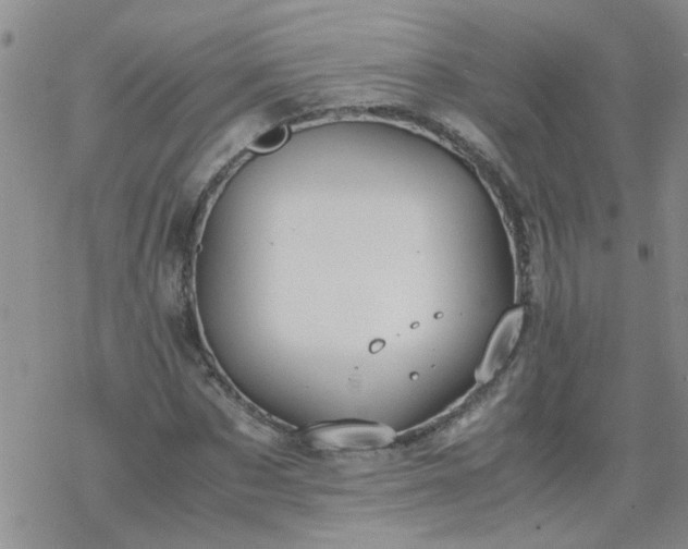 X0000069390873200605192211