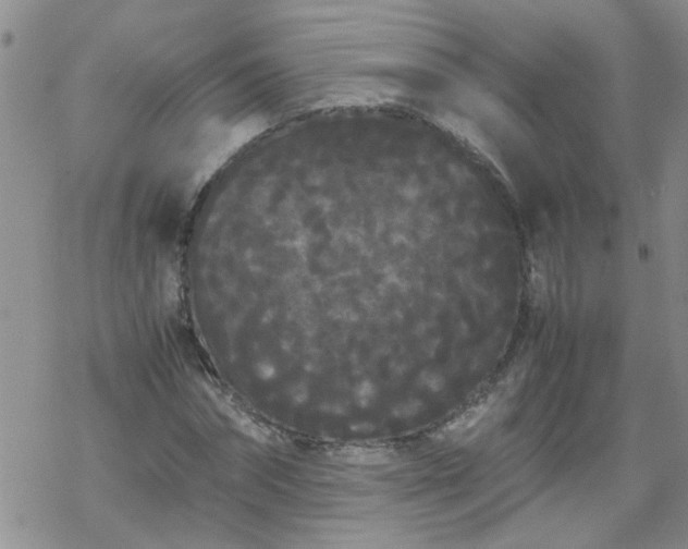 X0000069390874200605192211