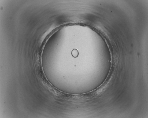 X0000069390875200605192211