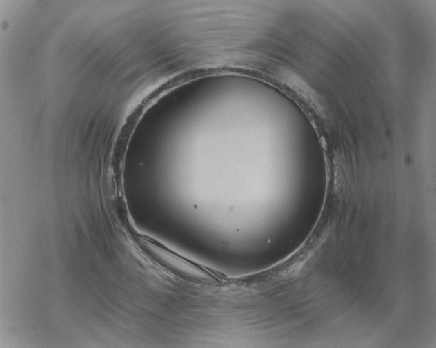 X0000069390876200605192211