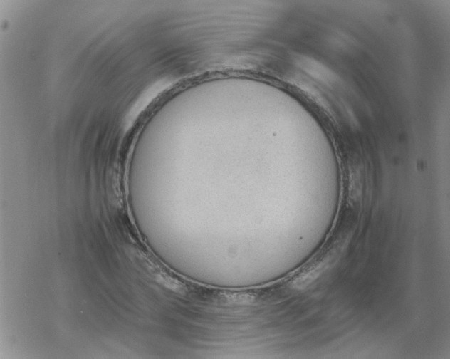 X0000069390878200605192211