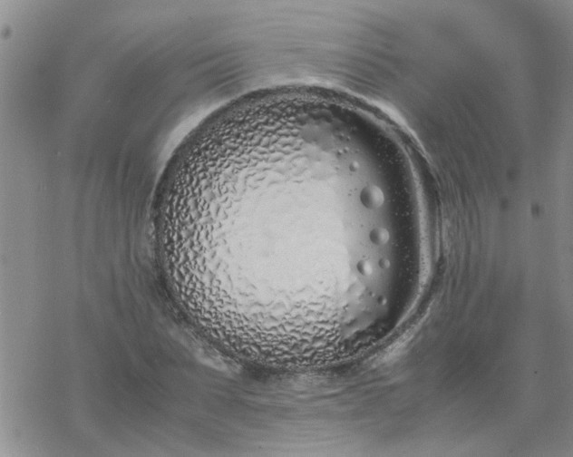 X0000069390879200605192211