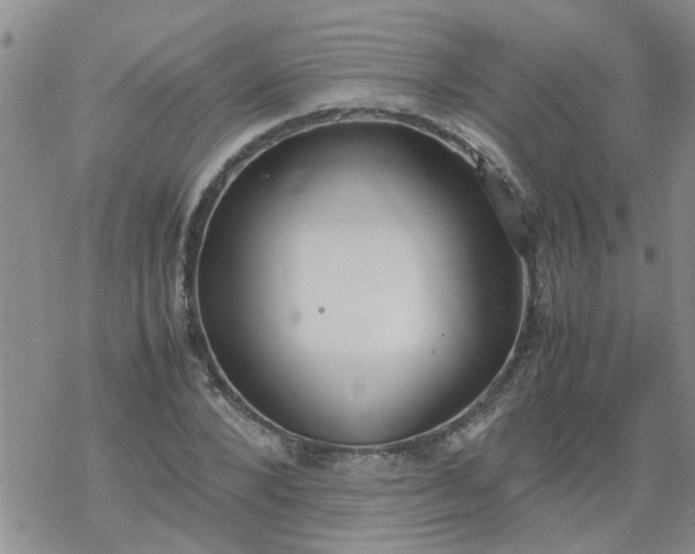 X0000069390880200605192211