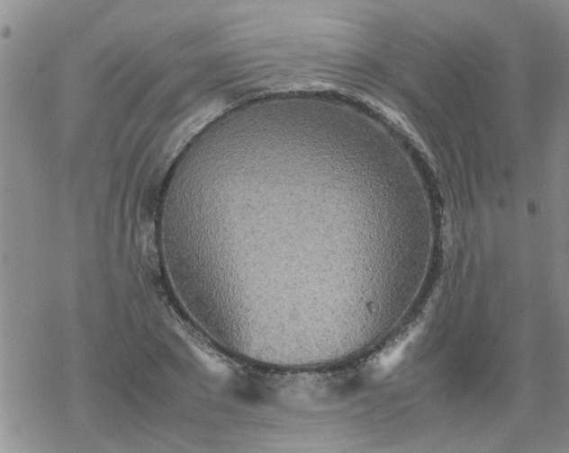 X0000069390881200605192211