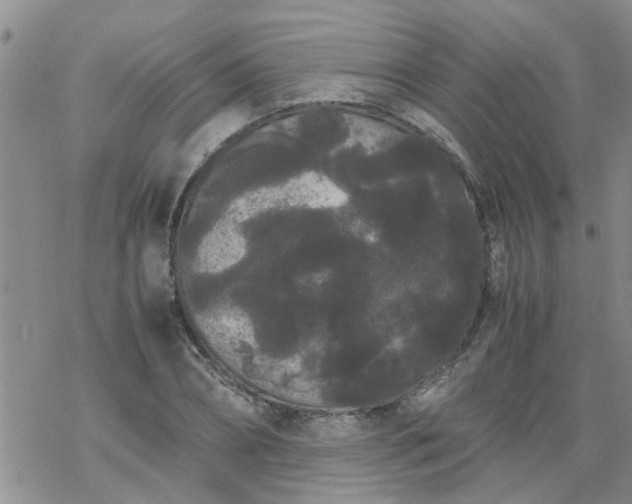 X0000069390882200605192211