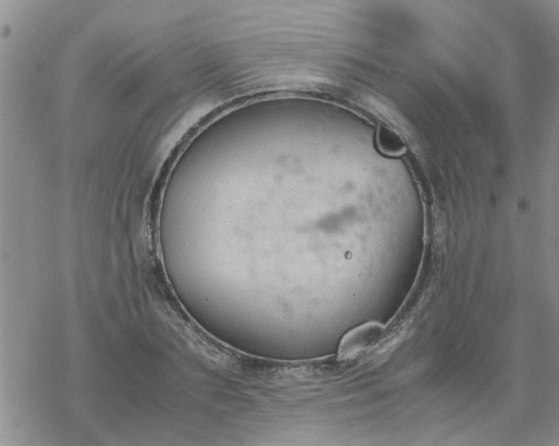 X0000069390883200605192211