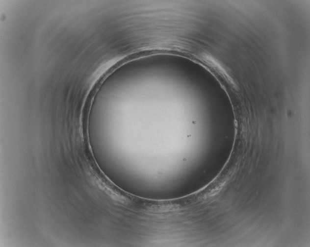 X0000069390884200605192211