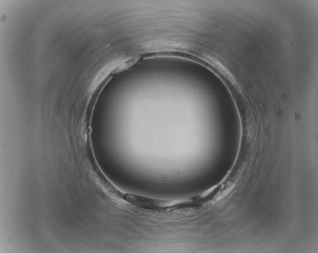 X0000069390885200605192211