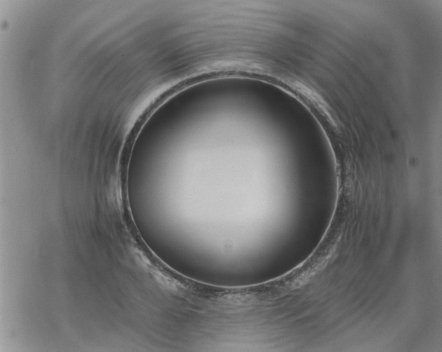 X0000069390888200605192211