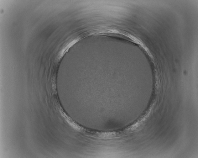 X0000069390889200605192211