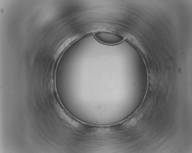 X0000069390890200605192211