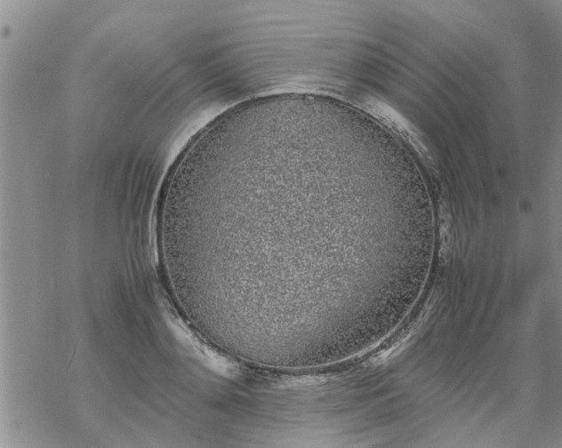 X0000069390892200605192211