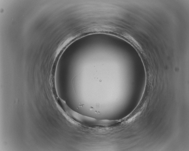 X0000069390893200605192211