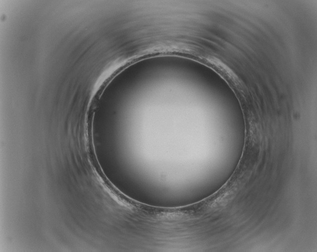 X0000069390894200605192211