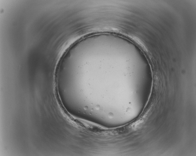 X0000069390895200605192211