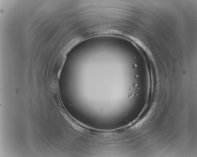 X0000069390897200605192211