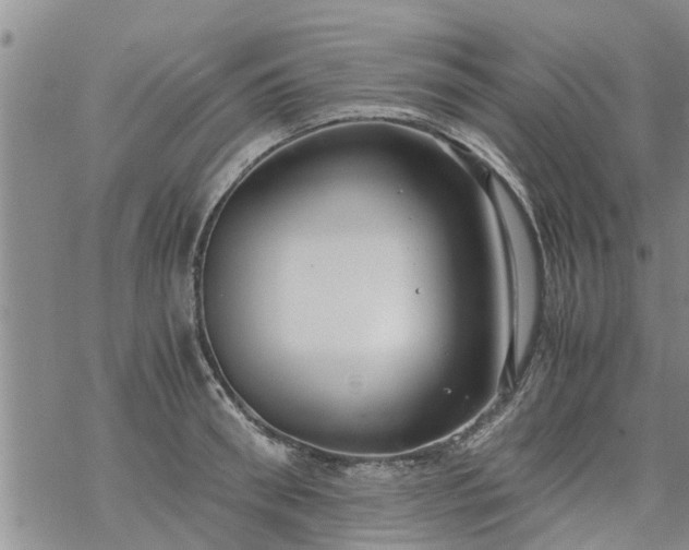 X0000069390898200605192211