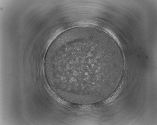 X0000069390899200605192211