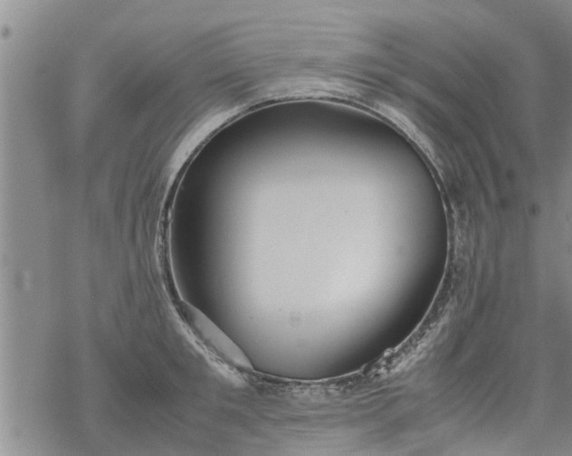 X0000069390901200605192211