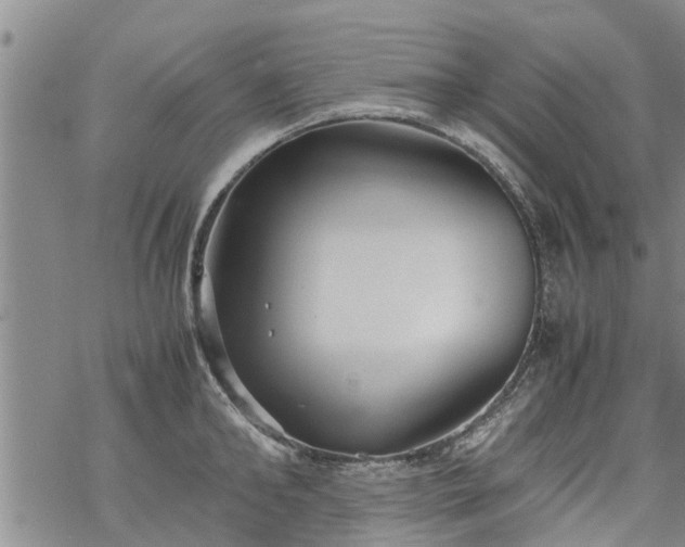 X0000069390902200605192211