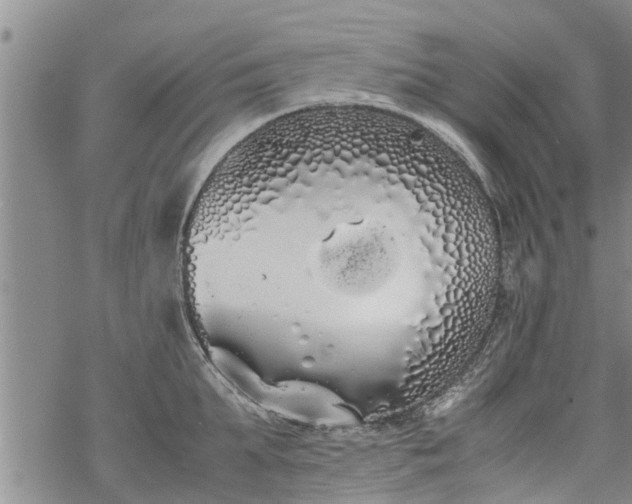 X0000069390903200605192211