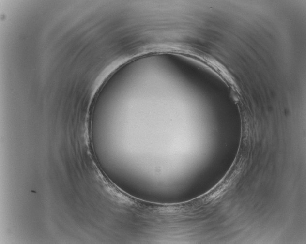 X0000069390904200605192211