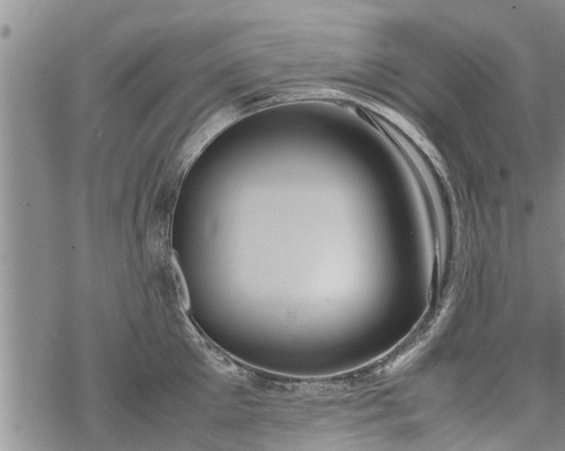 X0000069390905200605192211