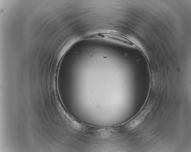 X0000069390906200605192211