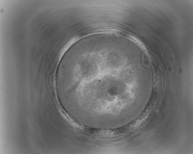 X0000069390907200605192211