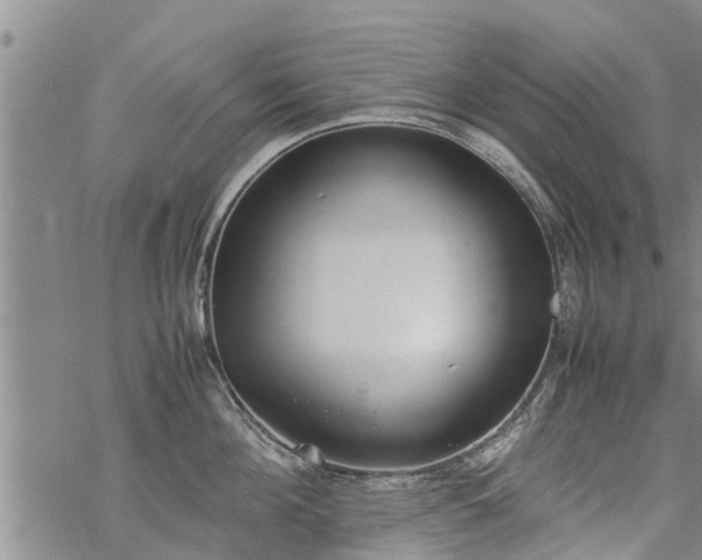 X0000069390908200605192211