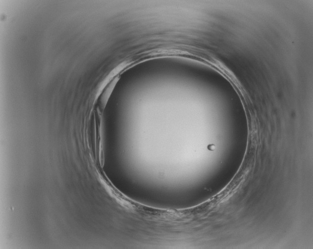 X0000069390909200605192211