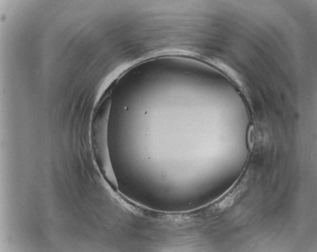 X0000069390910200605192211