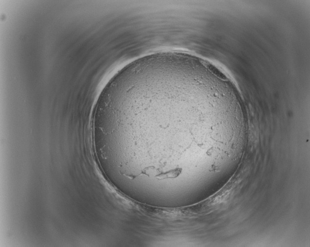 X0000069390911200605192211