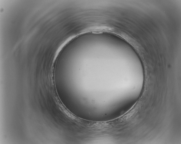 X0000069390912200605192211