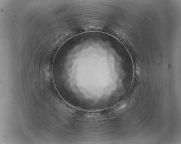 X0000069390915200605192210