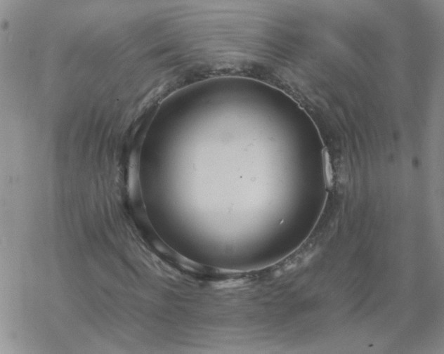 X0000069390916200605192210