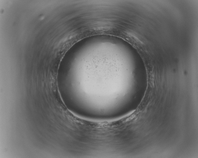 X0000069390917200605192210