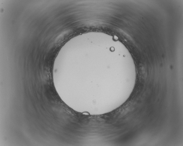 X0000069390918200605192210