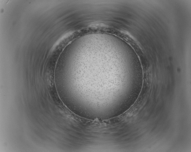 X0000069390919200605192210