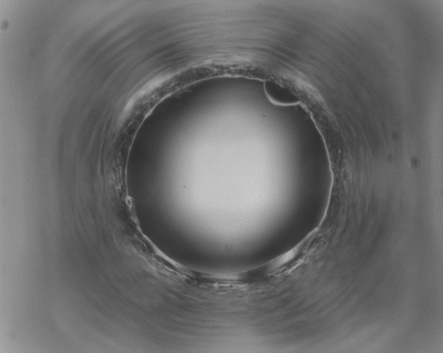 X0000069390920200605192210