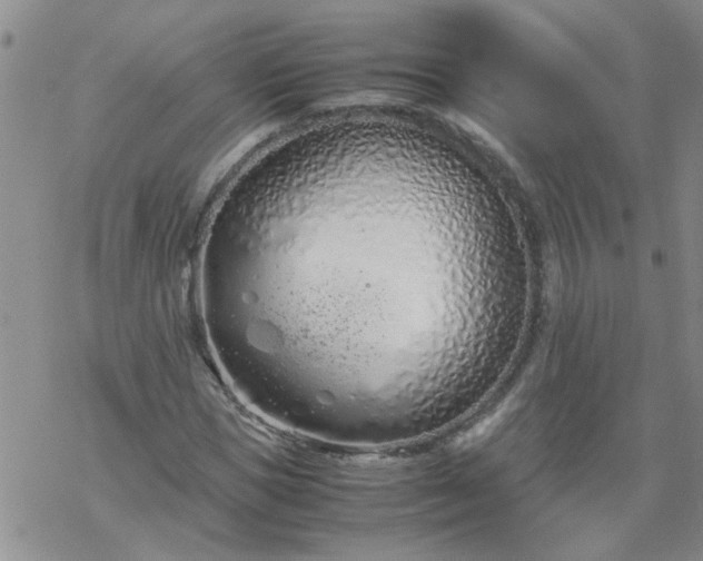 X0000069390921200605192210