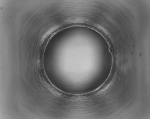 X0000069390922200605192210